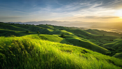 Obraz premium green field and sunrise