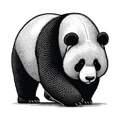 Panda bear with bamboo © stock