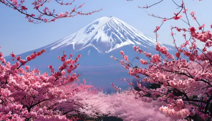 Wall murals Pink sakura with mount view