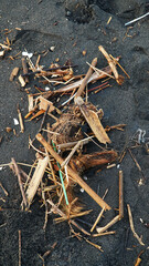 Garbage is scattered on the beach sand