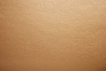 Textured brown paper background