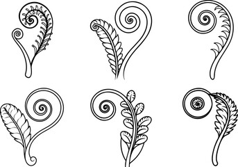 Set of fiddlehead fern outline line art illustration, coloring book page © 99 vector art