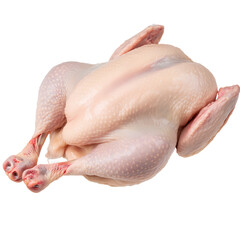 Fototapeta premium Fresh Whole Raw Chicken – Premium Quality Poultry for Cooking and Roasting