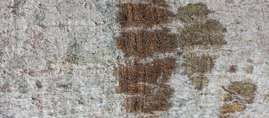Rustic Concrete Wall With Rust Stains