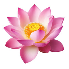 Cutout lotus flower on transparent background