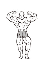 バックダブルバイセップス　ボディビル 筋肉 人物 ポーズ　線画 イラスト