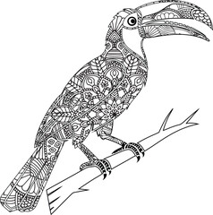 Obraz premium Intricate Line Art Toucan Bird Illustration Adult Coloring Page Design