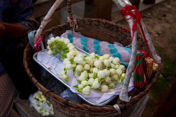 Chinese jasmine flower bracelet  in basket