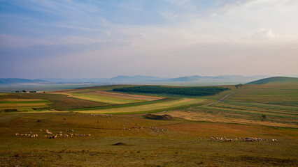 Zhangjiakou Baishang meadow field and grassland autumn landscape, Hebei, China