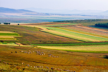 Zhangjiakou Baishang meadow field and grassland autumn landscape, Hebei, China
