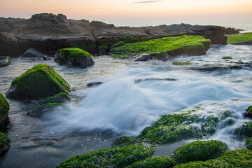 Rocky beach with sea water flows over mosses, Longdongwan Landform Park, Taiwan