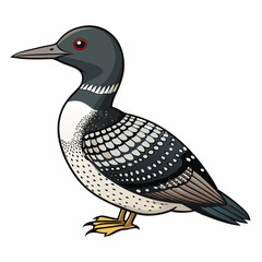 Loon Bird Perched Vector Style On White