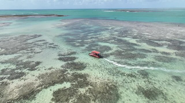 Patacho Nature Pool At Sao Miguel Dos Milagres Alagoas Brazil. Aerial View Of Stunning Beach With Crystal Clear Waters. Shore Horizon Beach Sea. Seaside Travel. Sao Miguel dos Milagres Alagoas.