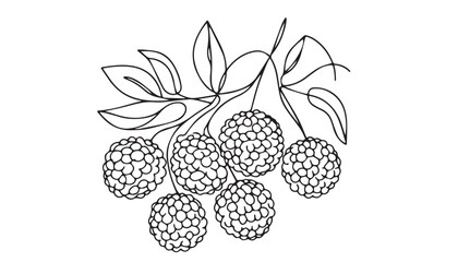 Continuous one single minimal line drawing lychee