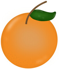 เลเยอร์ 1