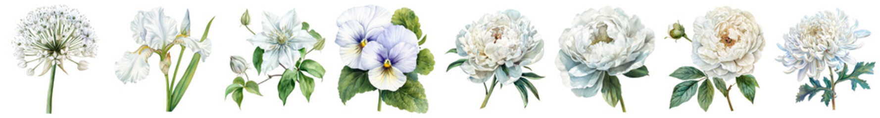 Elegant Collection of Various White Flowers Suitable for Weddings and Floral Designs
