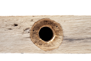 Close-up of wooden plank with circular knot and textured grain detail, cut out