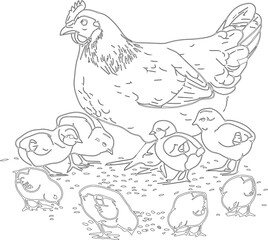 The drawing of the hen line brings the chick to eat the shell rice. It is a painting exercise for children and a vector form meditation exercise.