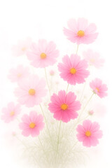 Obraz premium A cluster of soft pink cosmos flowers with yellow centers bloom gracefully against a bright, hazy white background, creating a serene, airy feel