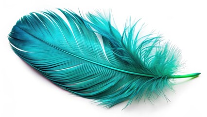 Beautiful closeup of a bright shiny turquoise feather isolated on white background, showcasing its vibrant colors and intricate texture, natural elements, bird part