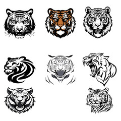    Tiger  vector  Image