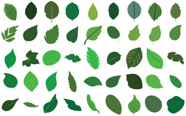 Flat Green Leaf Icon Set – Eco, Bio, Vegan Symbols for Nature and Organic Design