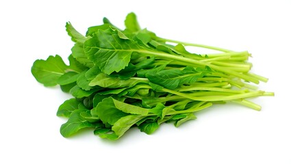 Fresh arugula leaves vegetable, beets, pumpkin,  images, east asian, photos, south asian indigenous hispanic or latinx illustration, horizontal