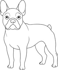 Outline of a French bulldog showcases the breed's distinctive features against a transparent background