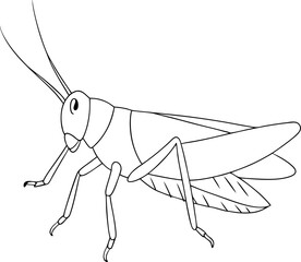 Outlined grasshopper stands isolated, its slender antennae, legs, and wings clearly defined on transparent background