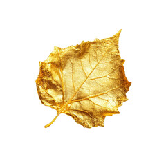 Fototapeta premium Golden Leaf on Black Background - Luxury Nature Abstract