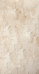 Fototapeta premium close-up texture of an old off-white wall with water damage, subtle cracks, and peeling paint, high-resolution background for design and texture use