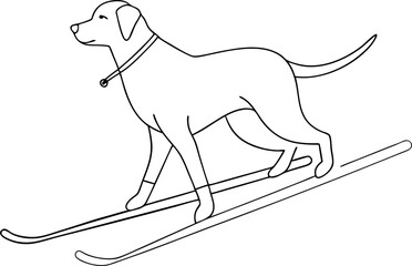 The dog is skiing through the snow as a monochrome outlined vector