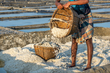Worker Harvesting salt in salt field at Bangladesh. Salt farm in Bangladesh. salt is primarily...
