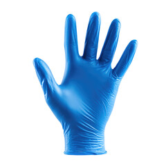 Title: Hand Wearing Blue Medical Glove with Open Palm Facing Forward

