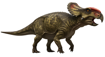 Obraz premium Powerful Protoceratops: A Realistic Dinosaur Illustration