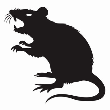 This vector shows a menacing black rat standing aggressively. This rat shows sharp claws, an open mouth, and long whiskers set against a white backdrop.