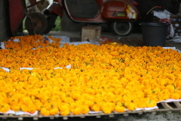 Orange Flowers on Ground with Vintage Red Motorcycle Blurred in Background