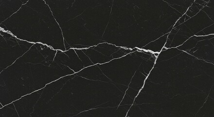 Elegant Black Marble Texture with White Veins High Resolution Background Image