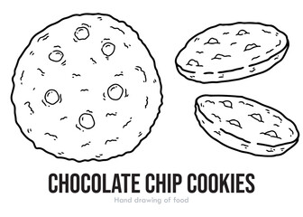 vector illustration of an chocolate chip cookies