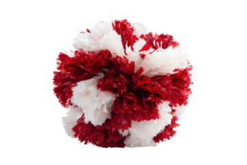 Red and white cheerleading pom pom on black background, cut out