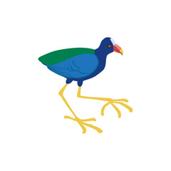vector drawing bird, purple gallinule, yellow-legged gallinule, hand drawn Porphyrio martinica, isolated nature design element