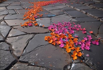 Vibrant petals emerge from fractured pavement , pavement, texture, resilient