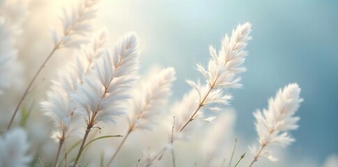Soft, delicate, feathery white plumes gently sway in a light breeze, creating an ethereal and tranquil scene Perfect for backgrounds, textures, or artistic projects , sway, gentle, innocence
