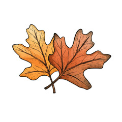 Fototapeta premium Autumn Leaf Collection Artwork - 5