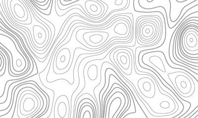 Topographic map background geographic line map with elevation assignments. Topo contour map on white background.