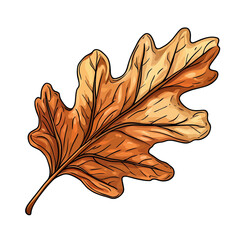 Obraz premium Autumn Leaf Collection Artwork - 55