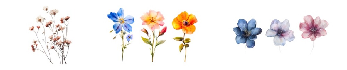 set of Colorful floral arrangement in decorative containers. isolated on transparent background