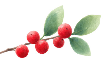 Watercolor painting of red berries on branch with green leaves in natural setting, cut out