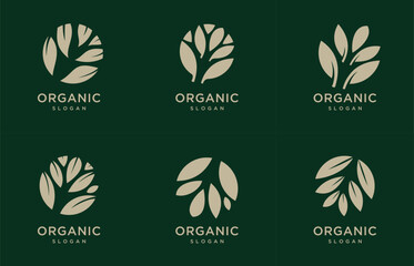 leaf logo design collection for company logos, business and branding digital technology 
