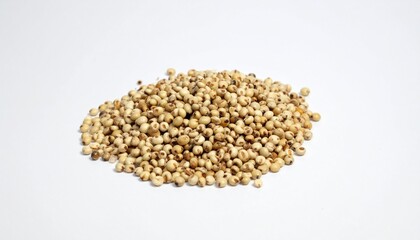 Sorghum Grains on Isolated White Background &ndash; Drought-Resistant Ancient Grain Still Life with Subtle Color and Texture